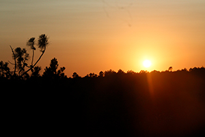 Surfcamp in Algarve Sunset