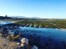 nature-lake-green-fields-algarve-kitesurf-camp